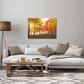 Tablou cu copaci toamna (70x50 cm)
