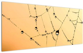 Tablou cu pânză de pâianjen cu rouă (120x50 cm)