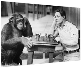 Tablou - Circ 2 (90x60 cm)