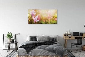 Tablouri canvas Magnolia copac soare