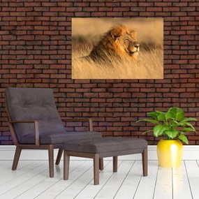 Tablou - Parcul Național Etosha (90x60 cm)