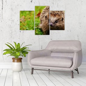 Tablou cu arici (90x60 cm)