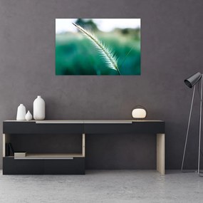 Tablou cu fir de iarbă (90x60 cm)
