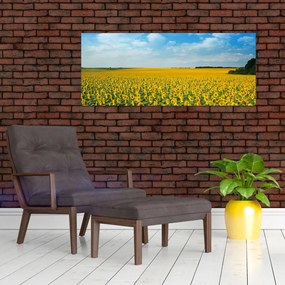 Tablou - câmp cu floarea soarelui (120x50 cm)