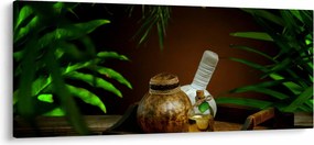 Tablou cu obiectele spa (120x50 cm)