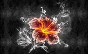 Fototapet - Floare - fum (152,5x104 cm)