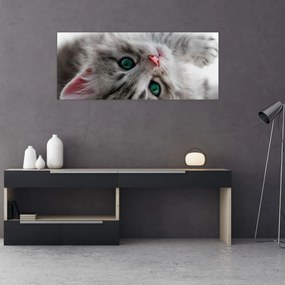 Tablou - Pisica cu ochi verzi (120x50 cm)