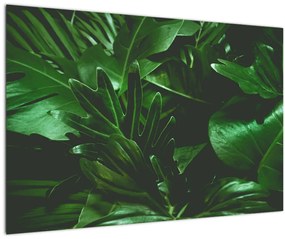 Tablou - Frunze de palmier (90x60 cm)