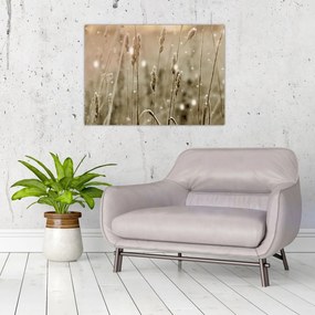 Tablou pe sticlă - Pajiște armonioasă (70x50 cm)