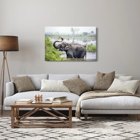 Tablou - Elefant de scăldat (90x60 cm)