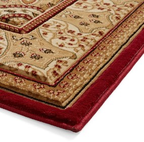 Covor roșu 120x170 cm Heritage – Think Rugs