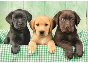 Animale Three Labs Puzzle cu câini 1000 de piese Clementoni