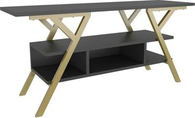 Comoda TV MINERVA, gri antracit/auriu, PAL/metal, 120x35x55 cm