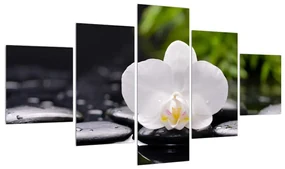 Tablou pe pânză K011707K12570 (125x70 cm), în 40 de alte dimensiuni noi
