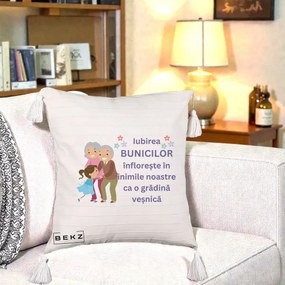 Cadou pentru Bunici - Perna Personalizata Bunicii Iubirea Infloreste Bunici cu Nepoata Colorat, 40x40 cm, Bej cu Franjuri, Husa Detasabila, Perna Inclusa, BEKZ®