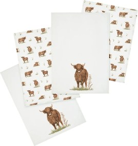 Prosoape de vase 4 buc. din bumbac 50x70 cm Angus Highland Cow – Catherine Lansfield