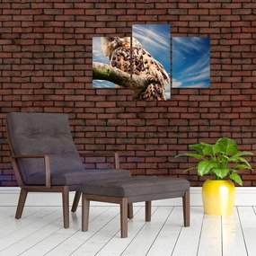 Tablou - Bufniță (90x60 cm)