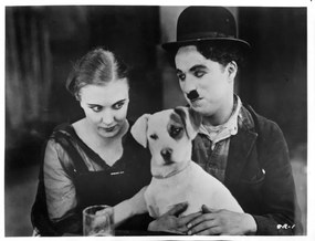 Fotografie Charles Chaplin In 'A Dog's Life', Archive Photos