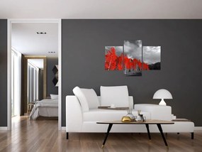 Tablou - Copaci în culorile toamnei (90x60 cm)