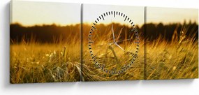 Tablou iarba cu rouă (cu ceas) (90x30 cm)