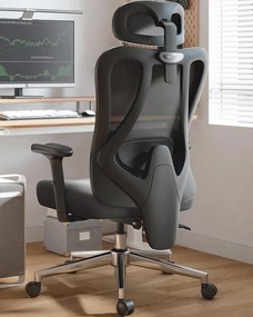 RESIGILAT- HBADA P3 Scaun ergonomic, cu suport lombar reglabil, tetieră reglabilă 2D, cotiere reglabile 2D, pivotant, Negru