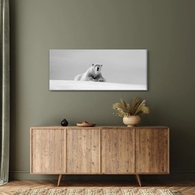 Tablou - Ursul polar (120x50 cm)