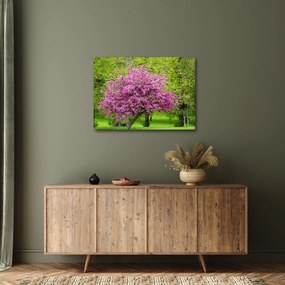Tablou cu pom înflorit pe luncă (70x50 cm)