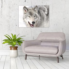 Tablou - Lupul în natură (70x50 cm)