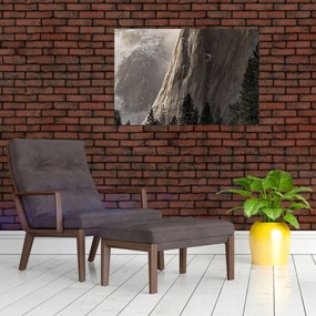 Tablou din valea Yosemite parcul național, SUA (90x60 cm)