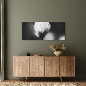 Tablou - Coțofană neagră și albă (120x50 cm)