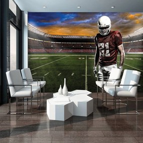Fototapet - Stadionul american de fotbal (152,5x104 cm)