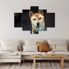 Tablou cu câine (150x105 cm)