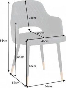 Set de 2 scaune elegante Paris gri