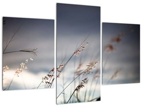 Tablou -Flori de luncă (90x60 cm)