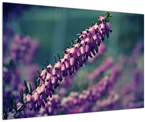 Tablou cu floare violetă (90x60 cm)