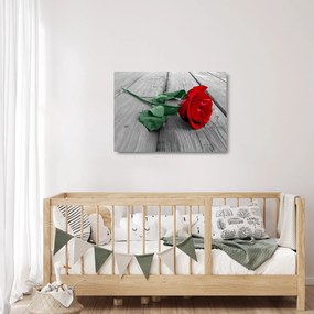 Tablou pe sticlă - Trandafir roșu cu tulpină verde (70x50 cm)