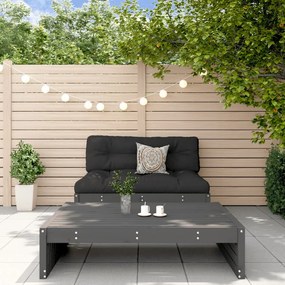 vidaXL Set mobilier relaxare grădină, 2 piese, gri, lemn masiv de pin