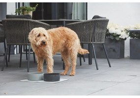 Bol pentru animale pentru câini din porțelan ø 20 cm Scodella Cement M/L – MiaCara