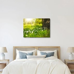 Tablou cu poiana și flori (70x50 cm)