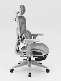 AEROMAX PRO 620LK-SY Scaun ergonomic, cotiere 6D, Tetiera 3D, Suport lombar dublu ajustabil, Suport picioare, Umeras, Full Mesh, Gri