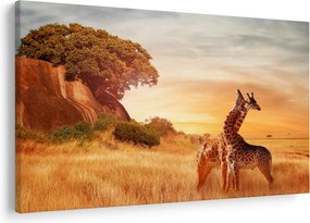 Tablou Girafe în Africa (90x60 cm)