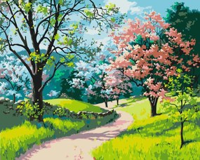 Pictura pe numere cu un cadru "Drum prin pădure" 50x40 cm