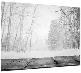 Tablou - Pier de lemn în timpul iernii (70x50 cm)