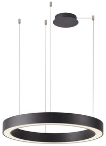 Azzardo AZ5044 - Lustră LED dimabilă pe cablu MARCO LED/50W/230V negru + + telecomandă