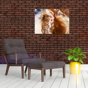 Tablou - Marmură abstract (70x50 cm)