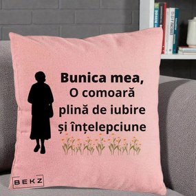 Cadou pentru Bunica - Perna Personalizata Bunica Mea Comoara Iubire Intelepciune Silueta cu Nepoata, 40x40 cm, Roz, Husa Detasabila, Perna Inclusa, BEKZ®