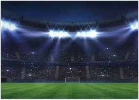 Tablou - Stadion de fotbal (70x50 cm)