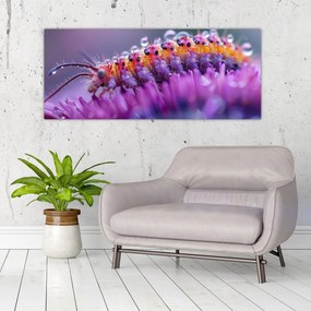 Tablou - Caterpillar (120x50 cm)