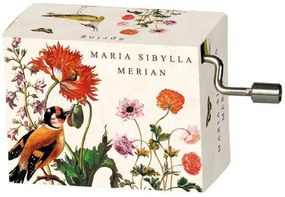 Flasneta Maria Sibylla Merian (pasari), Vivaldi Spring