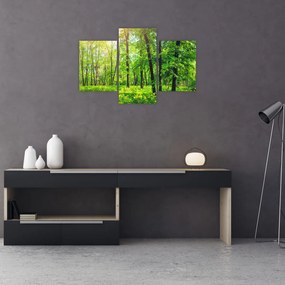 Tablou - Pădurea cu frunze de primăvară (90x60 cm)
